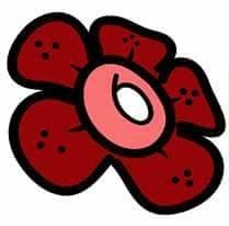 Tadika Rafflesia logo